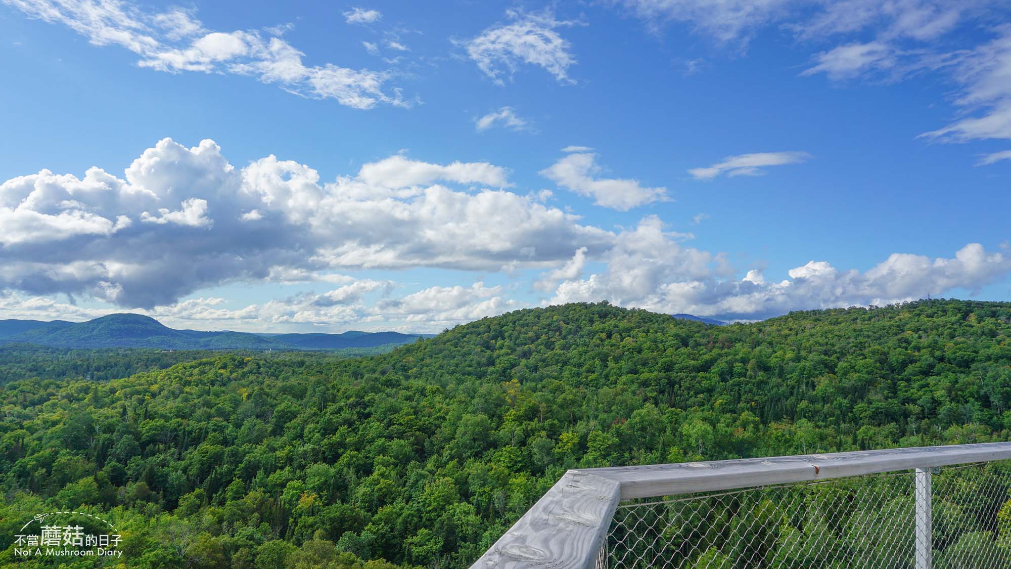 蒙特婁 魁北克 景點 推薦 必去 Sentier des cimes Laurentides 洛朗第樹冠步道