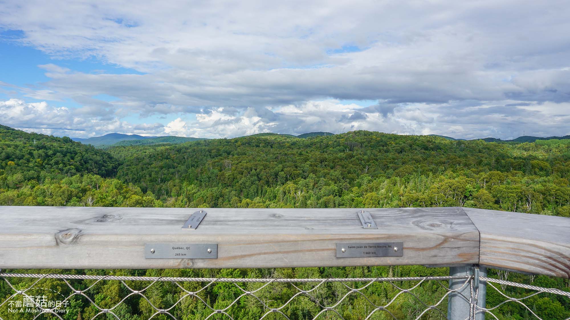蒙特婁 魁北克 景點 推薦 必去 Sentier des cimes Laurentides 洛朗第樹冠步道