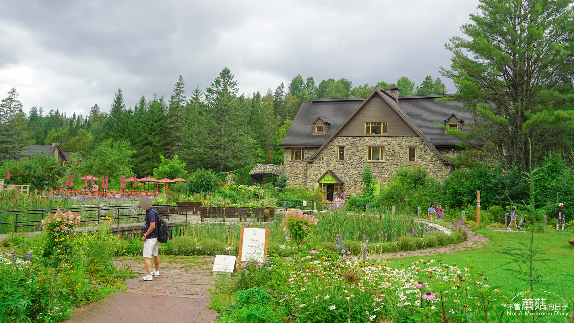 蒙特婁 魁北克 景點 推薦 必去 Sentier des cimes Laurentides 洛朗第樹冠步道