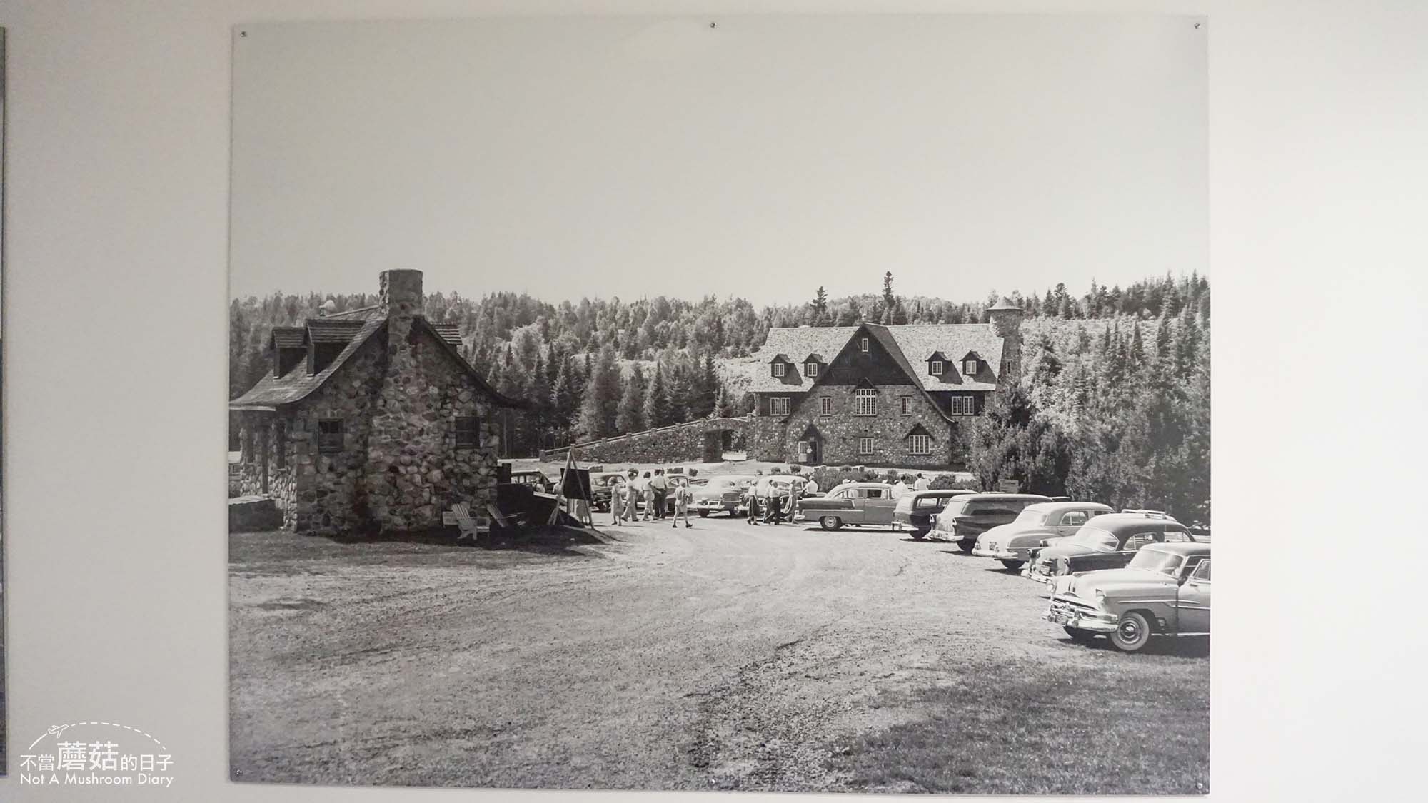 蒙特婁 魁北克 景點 推薦 必去 Sentier des cimes Laurentides 洛朗第樹冠步道