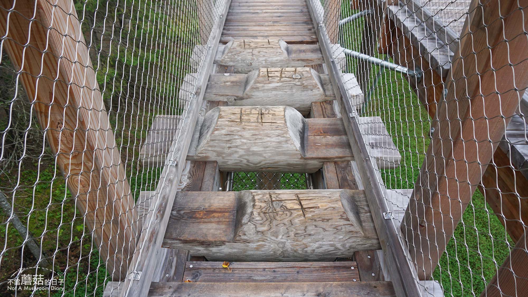 蒙特婁 魁北克 景點 推薦 必去 Sentier des cimes Laurentides 洛朗第樹冠步道