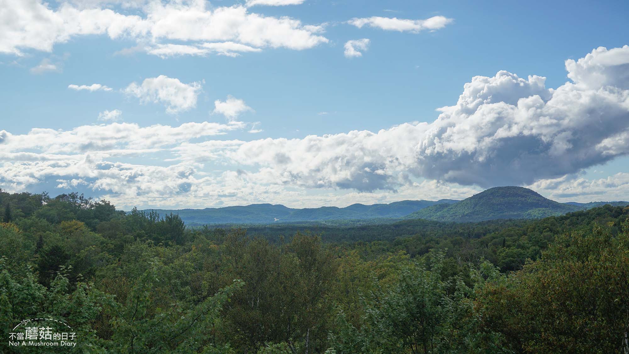 蒙特婁 魁北克 景點 推薦 必去 Sentier des cimes Laurentides 洛朗第樹冠步道
