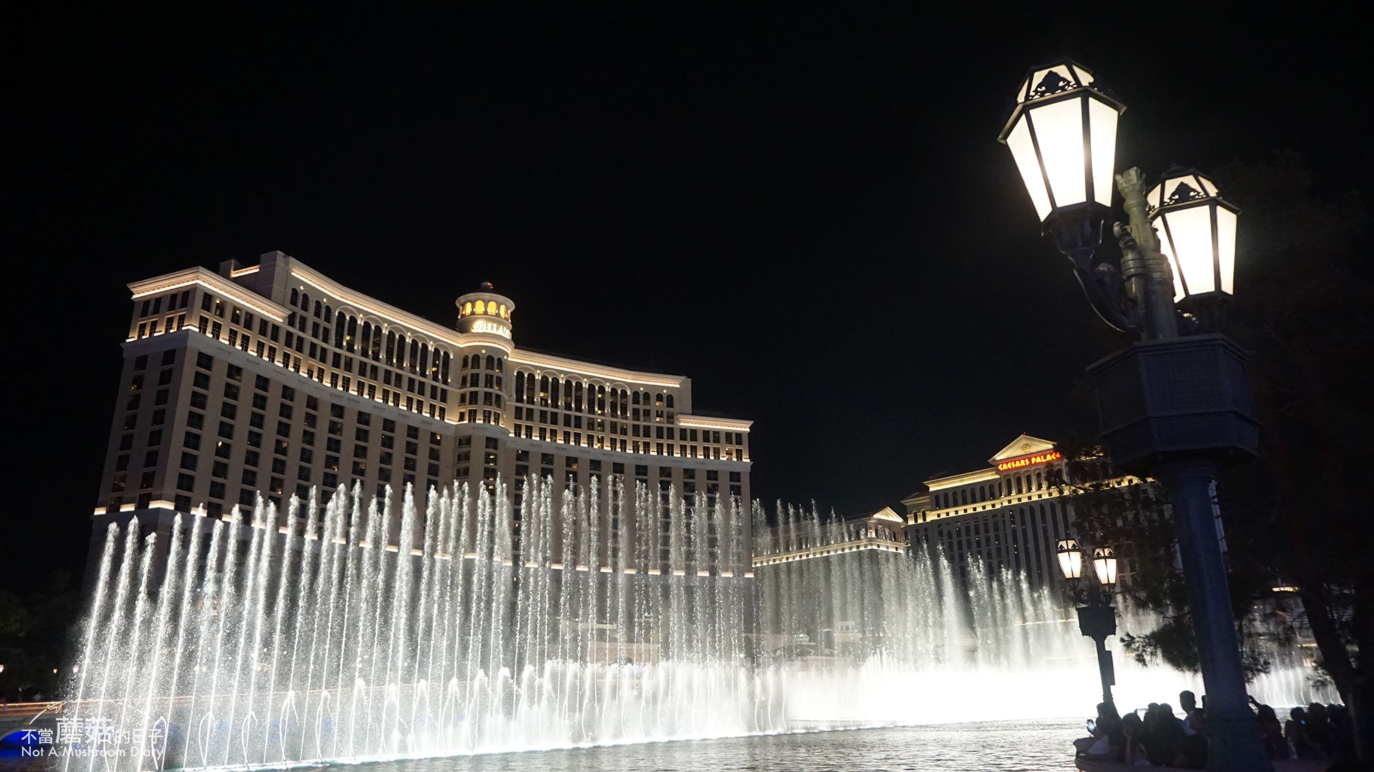 拉斯維加斯 賭城 Las Vegas 美國 景點 Strip 必吃 必玩 飯店