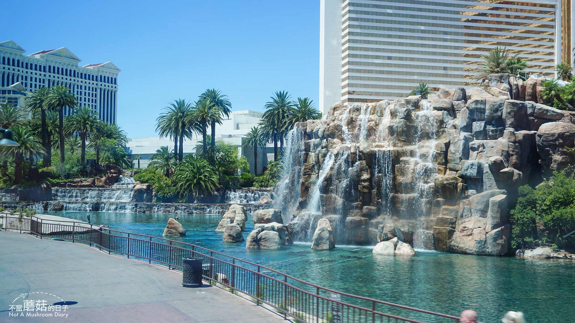 拉斯維加斯 賭城 Las Vegas 美國 景點 Strip 必吃 必玩 飯店