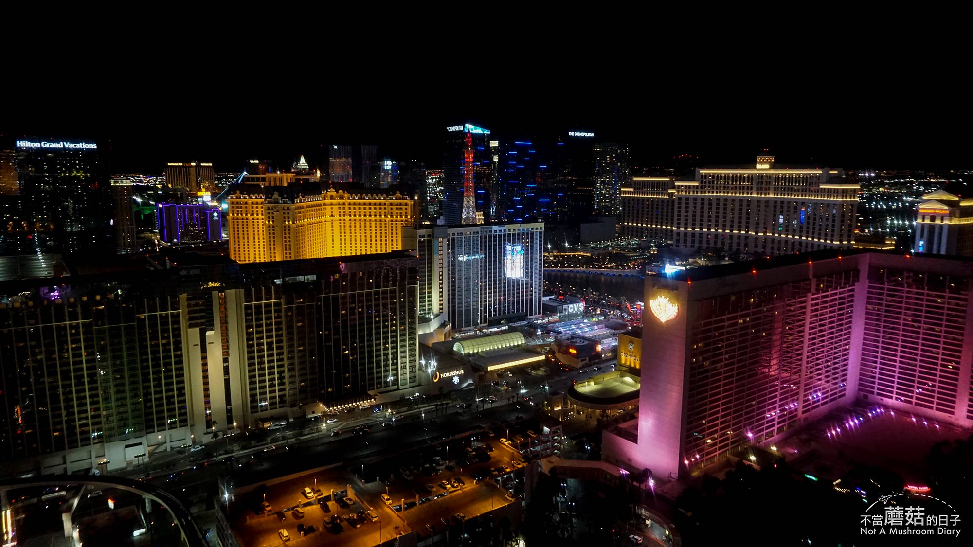 拉斯維加斯 賭城 景點 豪客摩天輪 必吃 漢堡 High Roller In-N-Out