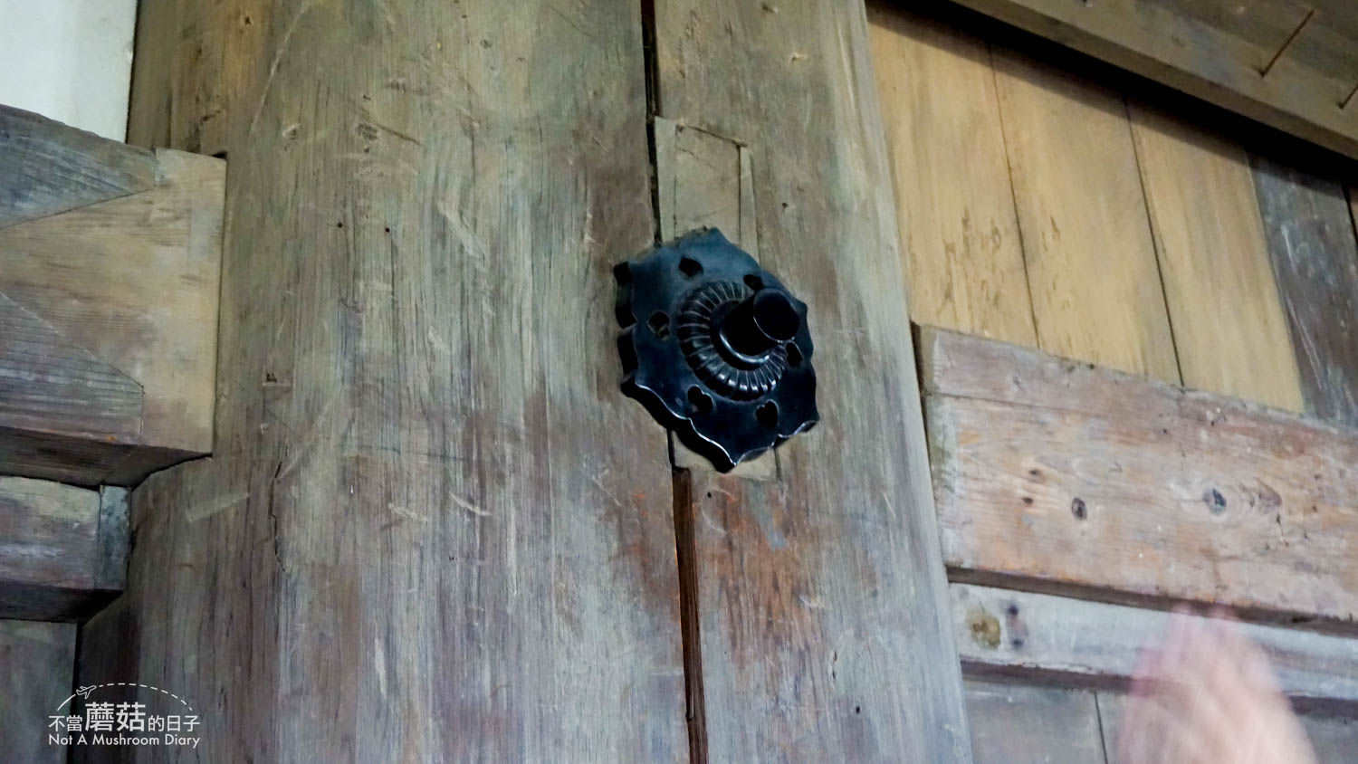 姬路 姬路城 天守 景點 國寶 城見台公園 西之丸 千姬