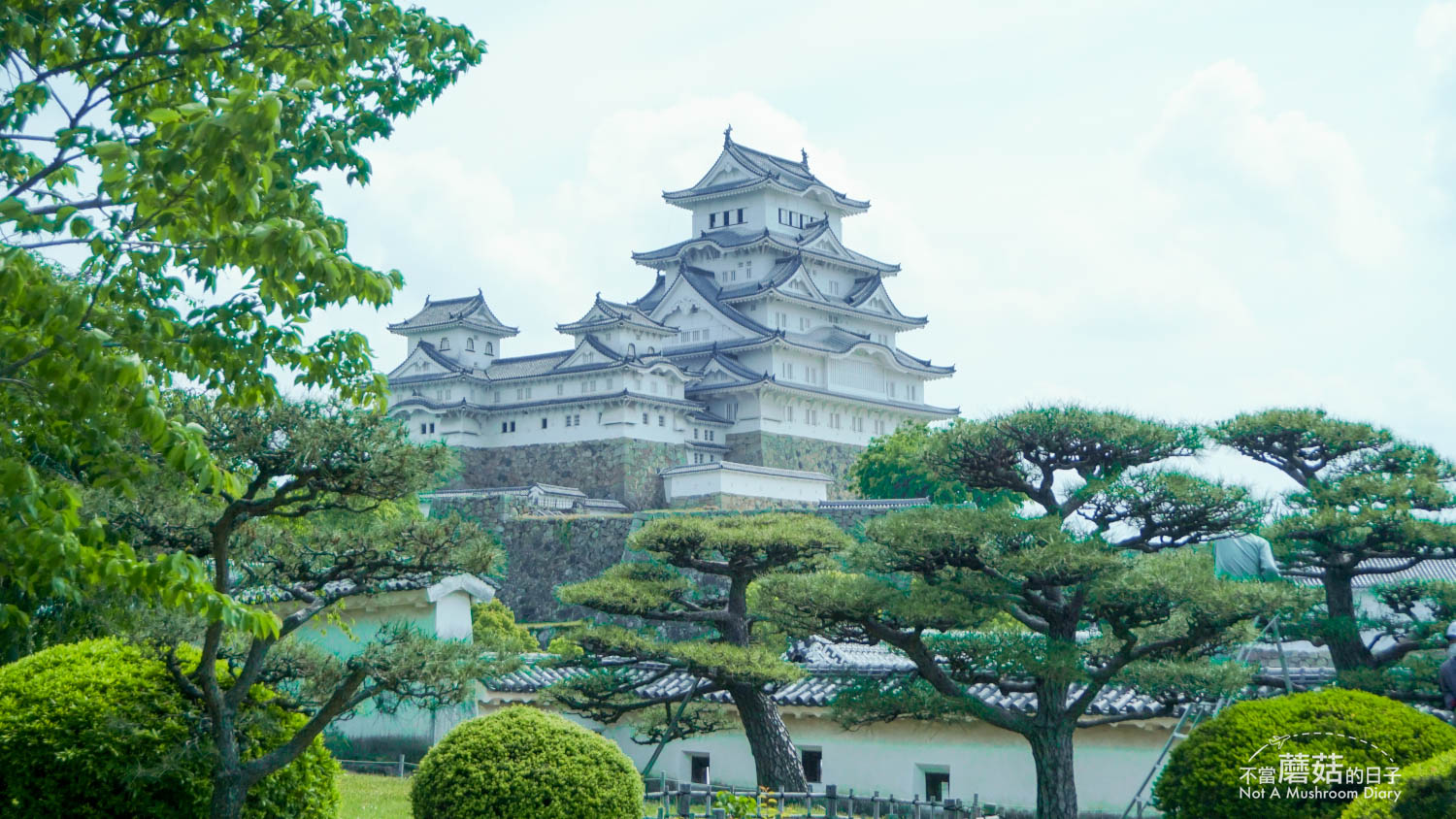 姬路 姬路城 天守 景點 國寶 城見台公園 西之丸 千姬