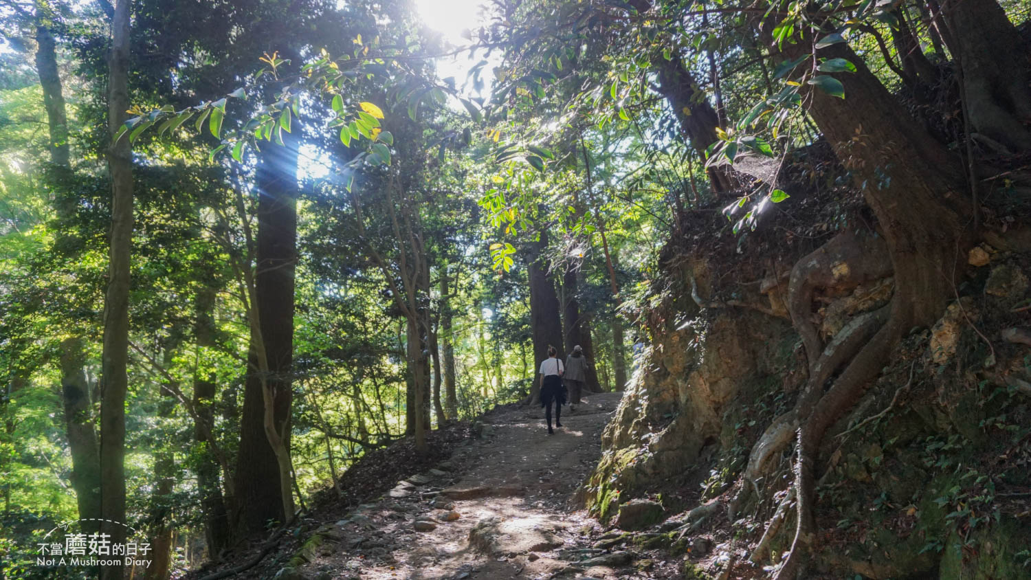 姬路 景點 推薦 書寫山 圓教寺 纜車 交通 西國三十三觀音
