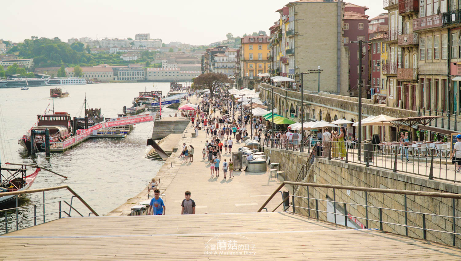 波多 景點 推薦 地圖 葡萄牙 自由行 花街 R. des Flores 蕾貝拉 Rebeira 路易一世大橋 Ponte Luis I 纜車