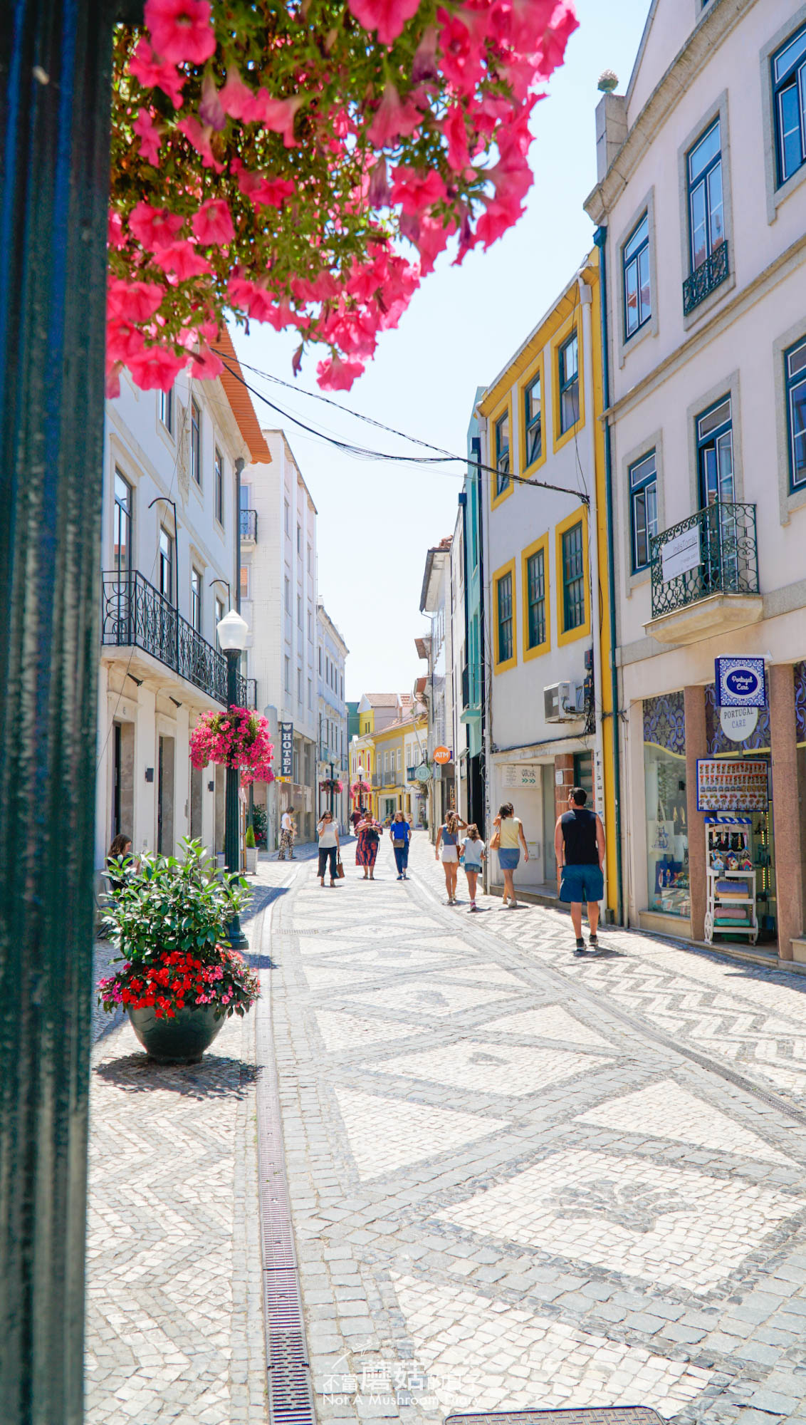 阿威羅 Aveiro 景點 地圖 一日遊 自駕 必去 Peixinho Ovos Moles