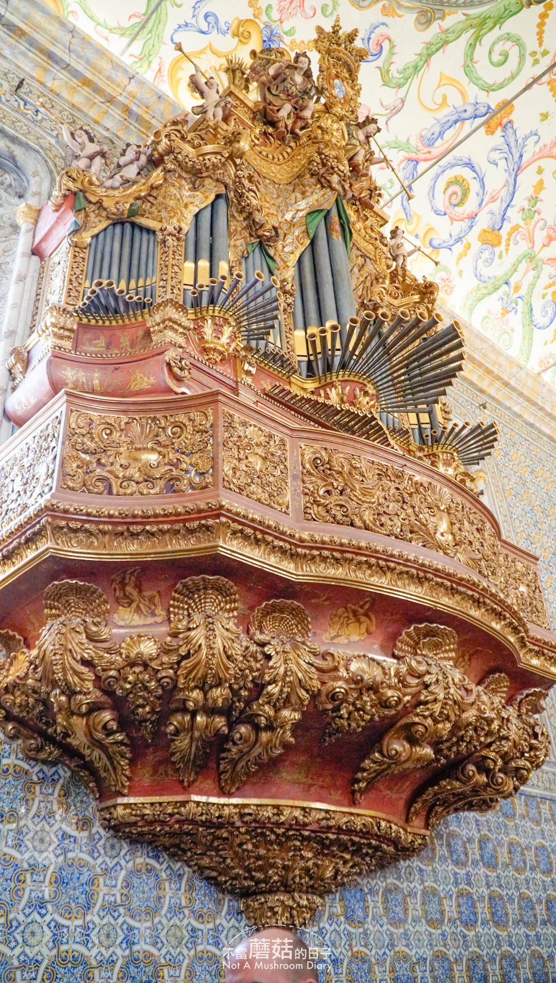 科英布拉 大學 一日遊 導覽 購票 景點 推薦 交通 自駕 喬安娜圖書館 最美圖書館 Joanina Library