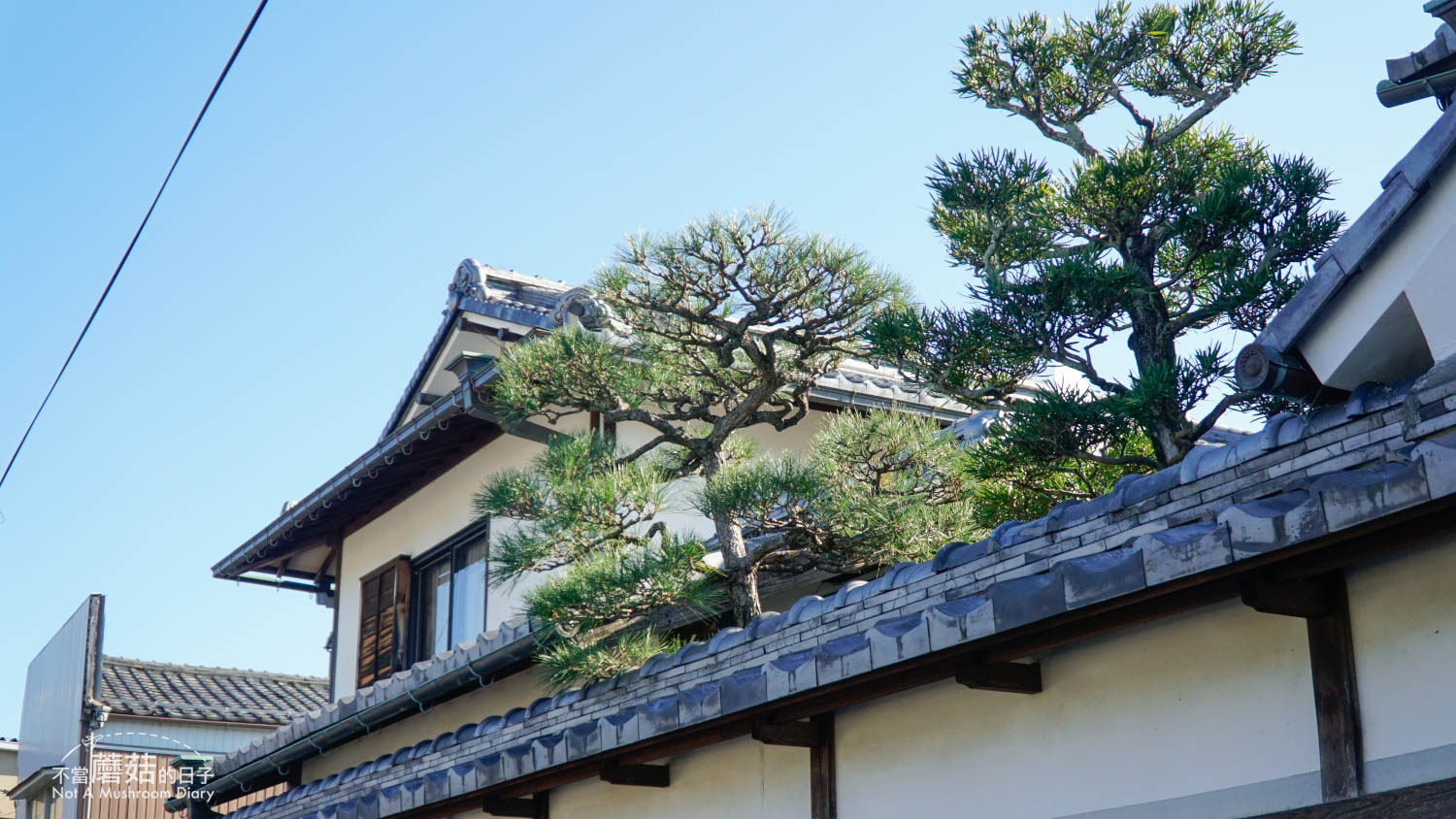 近江八幡 一日遊 自由行 景點 推薦 舊伴家住宅 