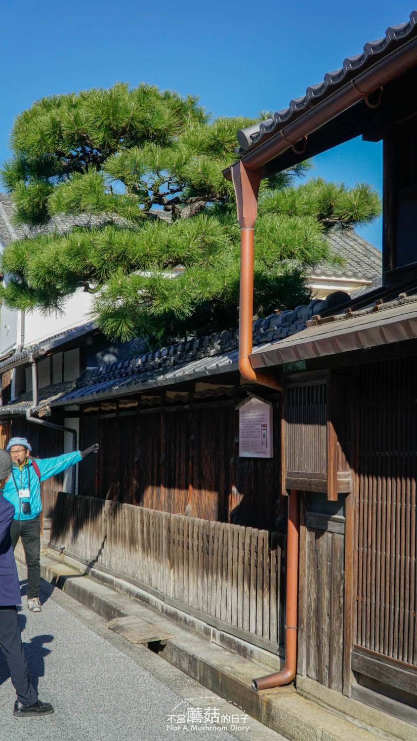 近江八幡 一日遊 自由行 景點 推薦 舊伴家住宅 