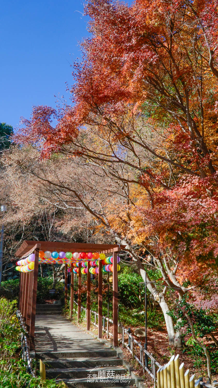 八幡堀 京都 一日遊 景點 近江八幡 交通 日牟禮乃舍 日牟禮八幡宮 八幡展望台 八幡山纜車 八幡山城