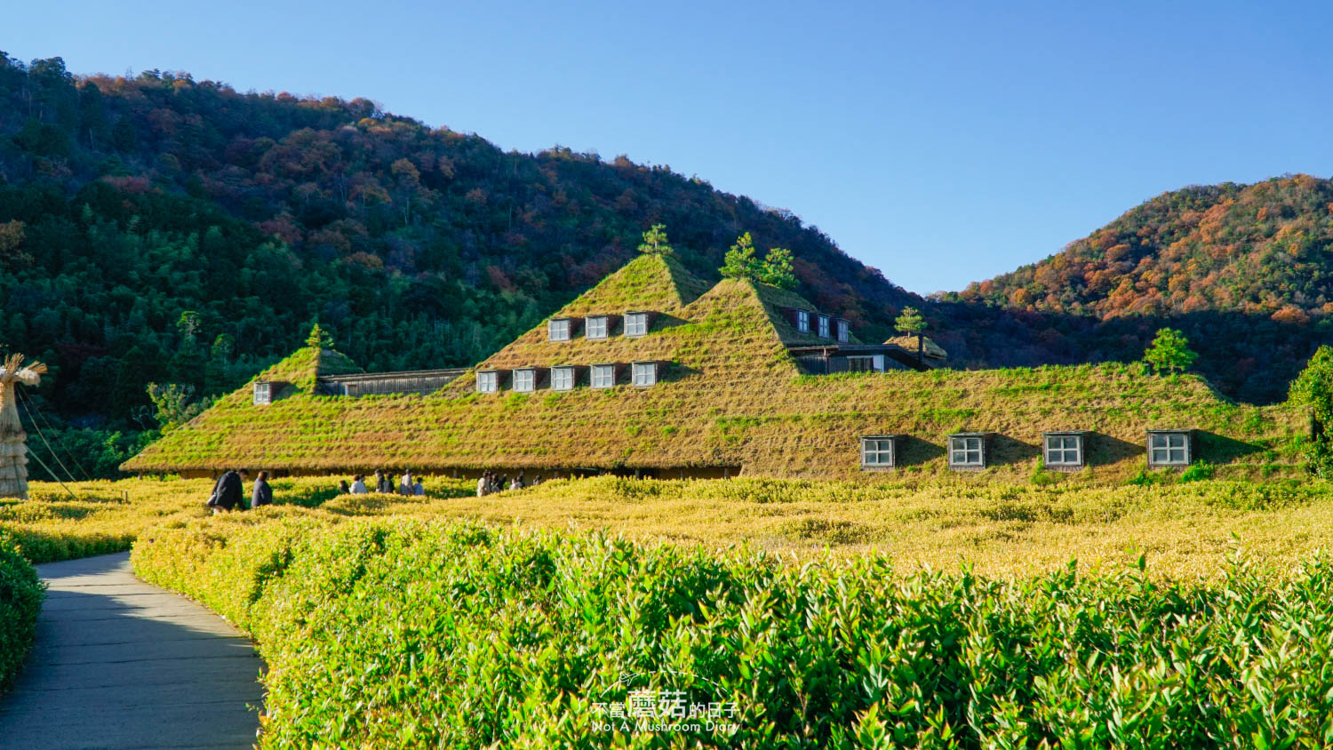 近江八幡 一日遊 景點 推薦 自由行 La Collina Club Harie 年輪蛋糕 現烤 京都 交通