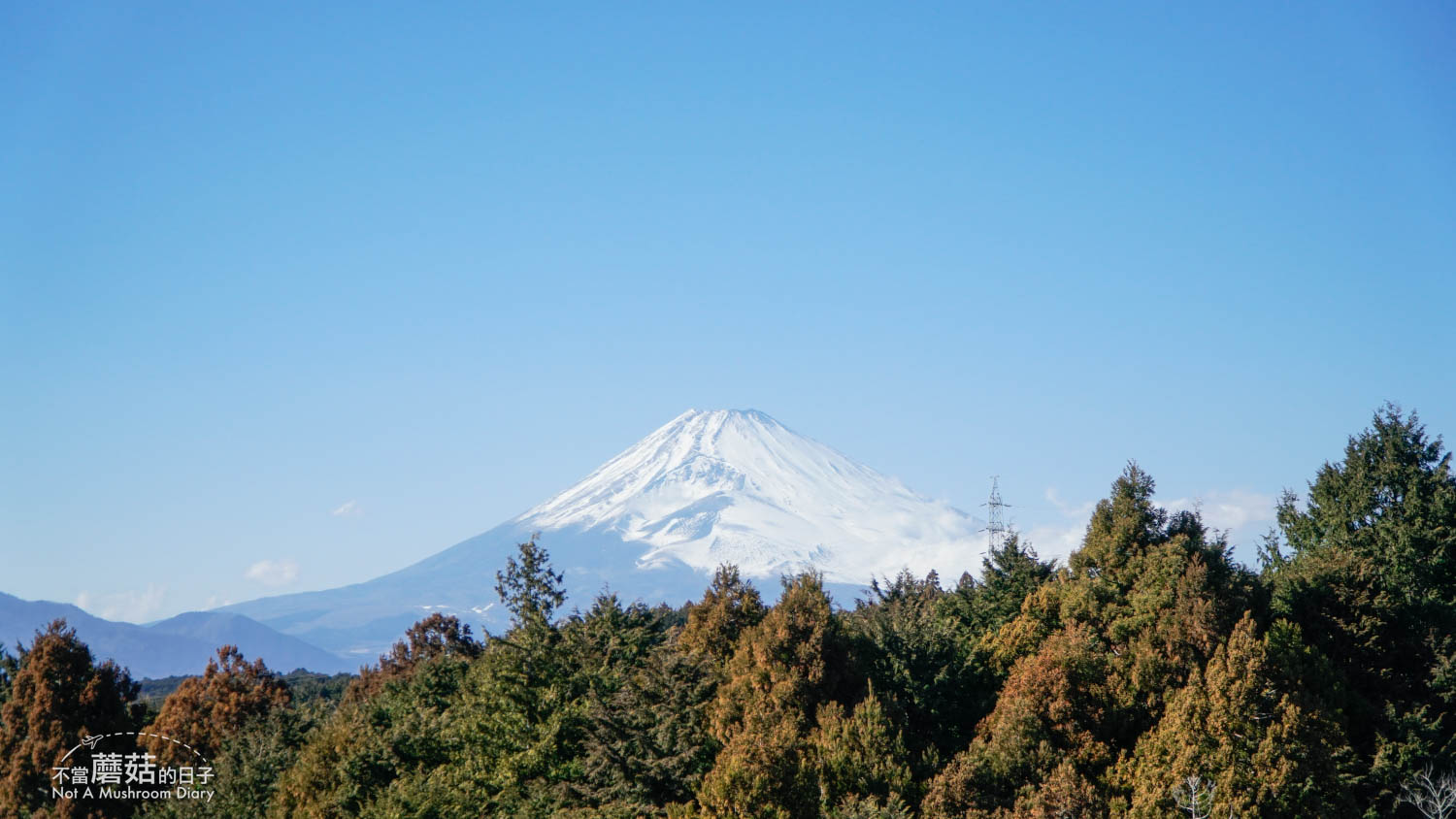三島天空步道 園區地圖 活動 交通 新幹線 JR 箱根 三島市