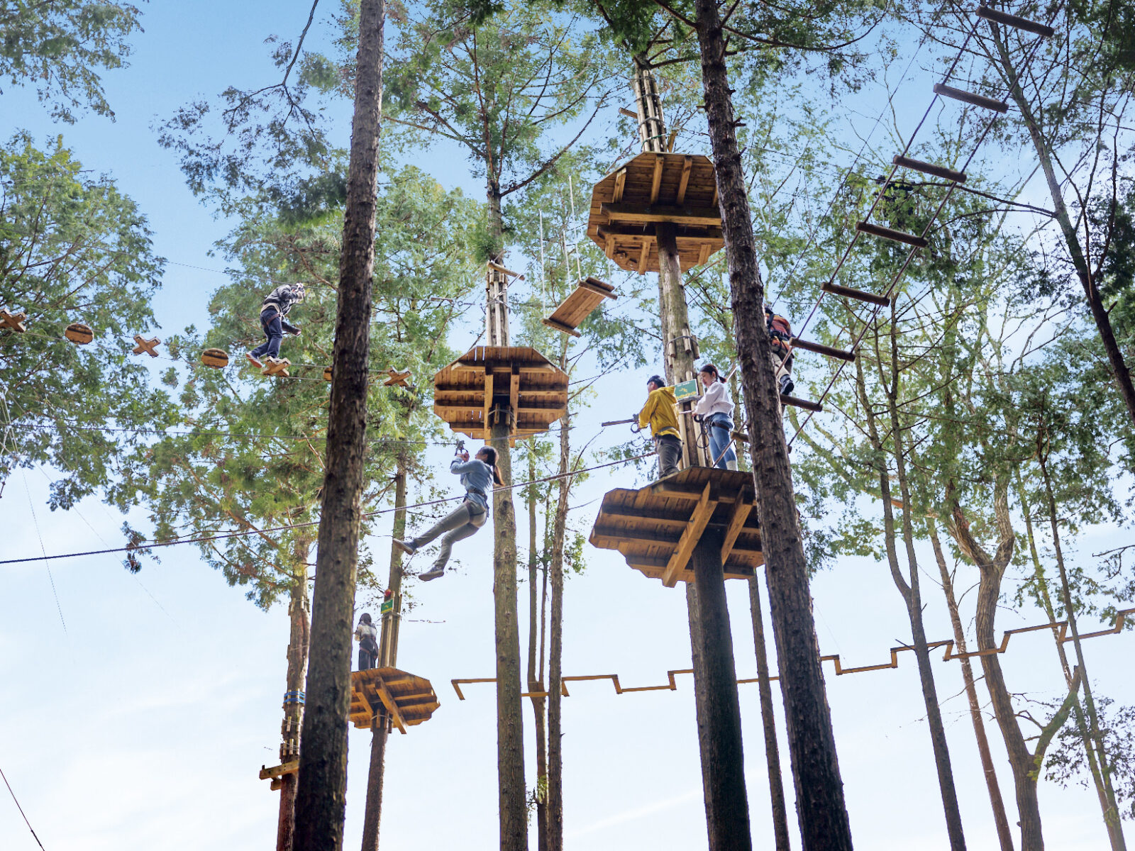 三島天空步道 園區地圖 活動 交通 新幹線 JR 箱根 三島市