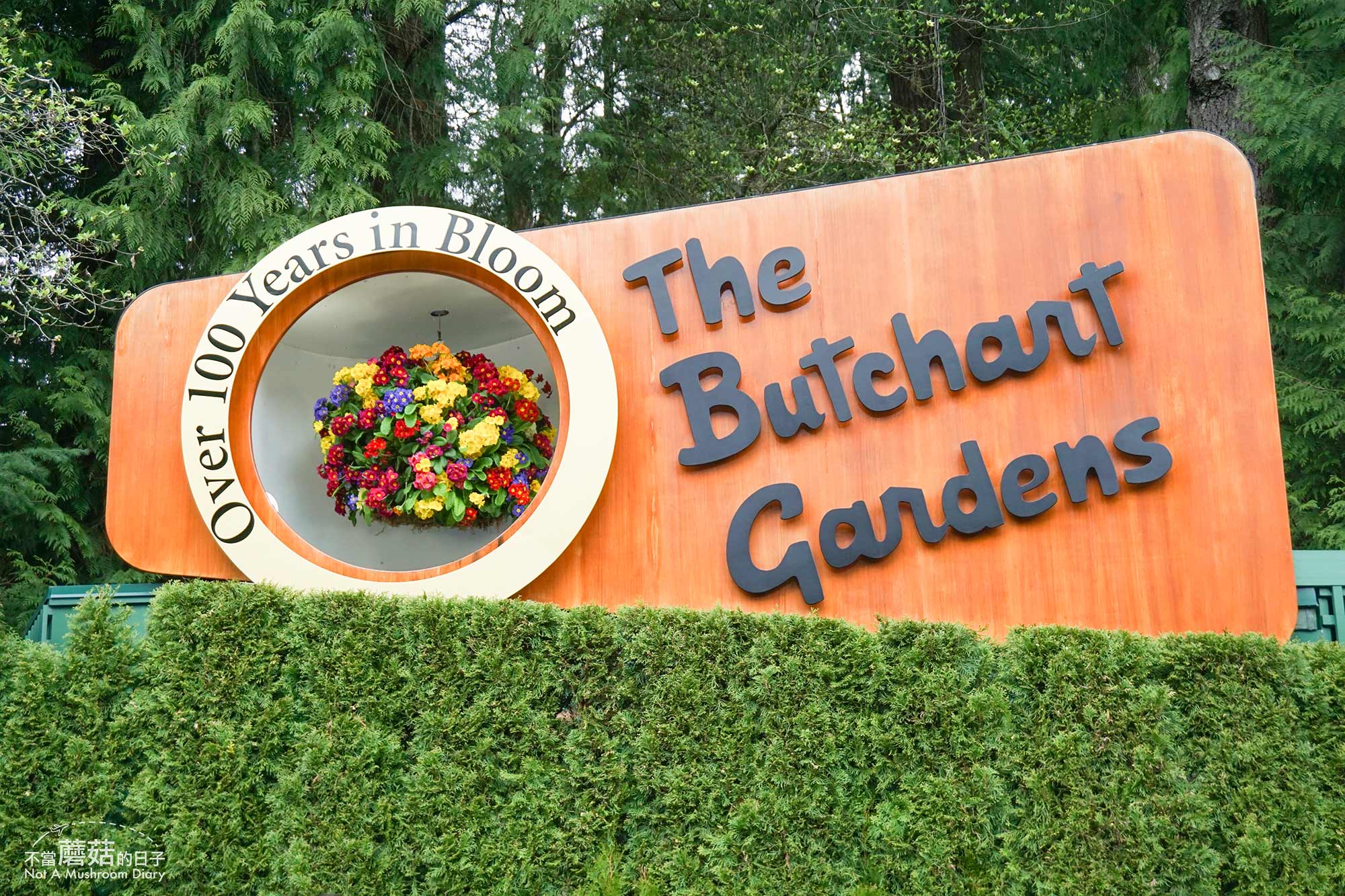 維多利亞 溫哥華島 加拿大 景點 布查花園 Butchart Garden