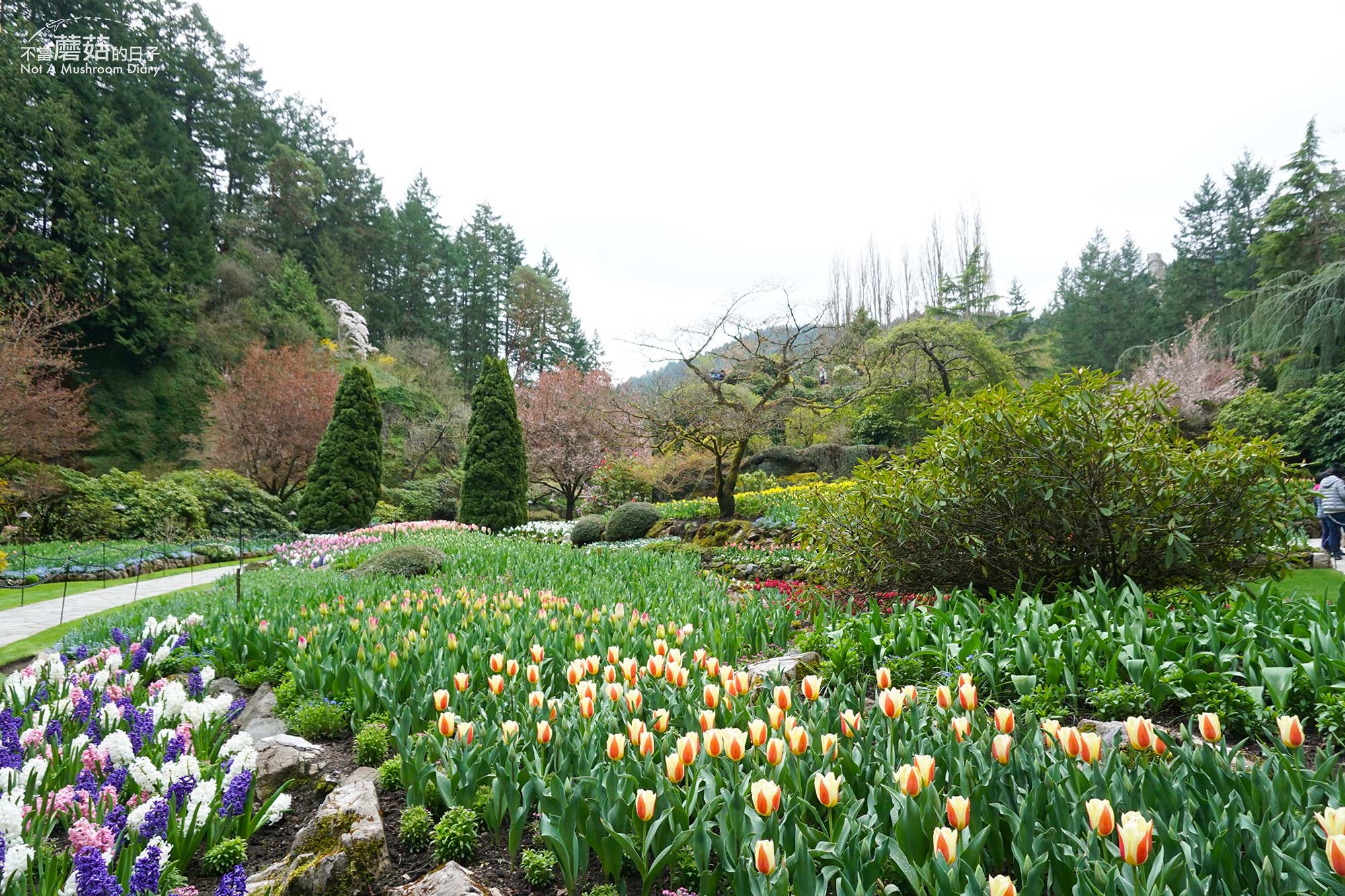 維多利亞 溫哥華島 加拿大 景點 布查花園 Butchart Garden