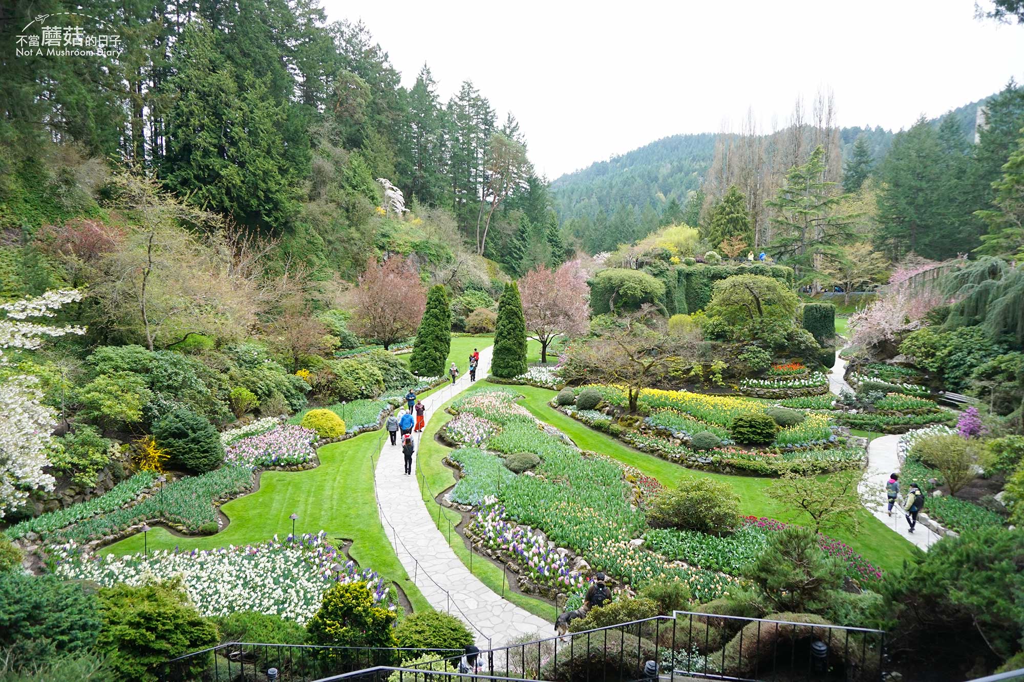 維多利亞 溫哥華島 加拿大 景點 布查花園 Butchart Garden