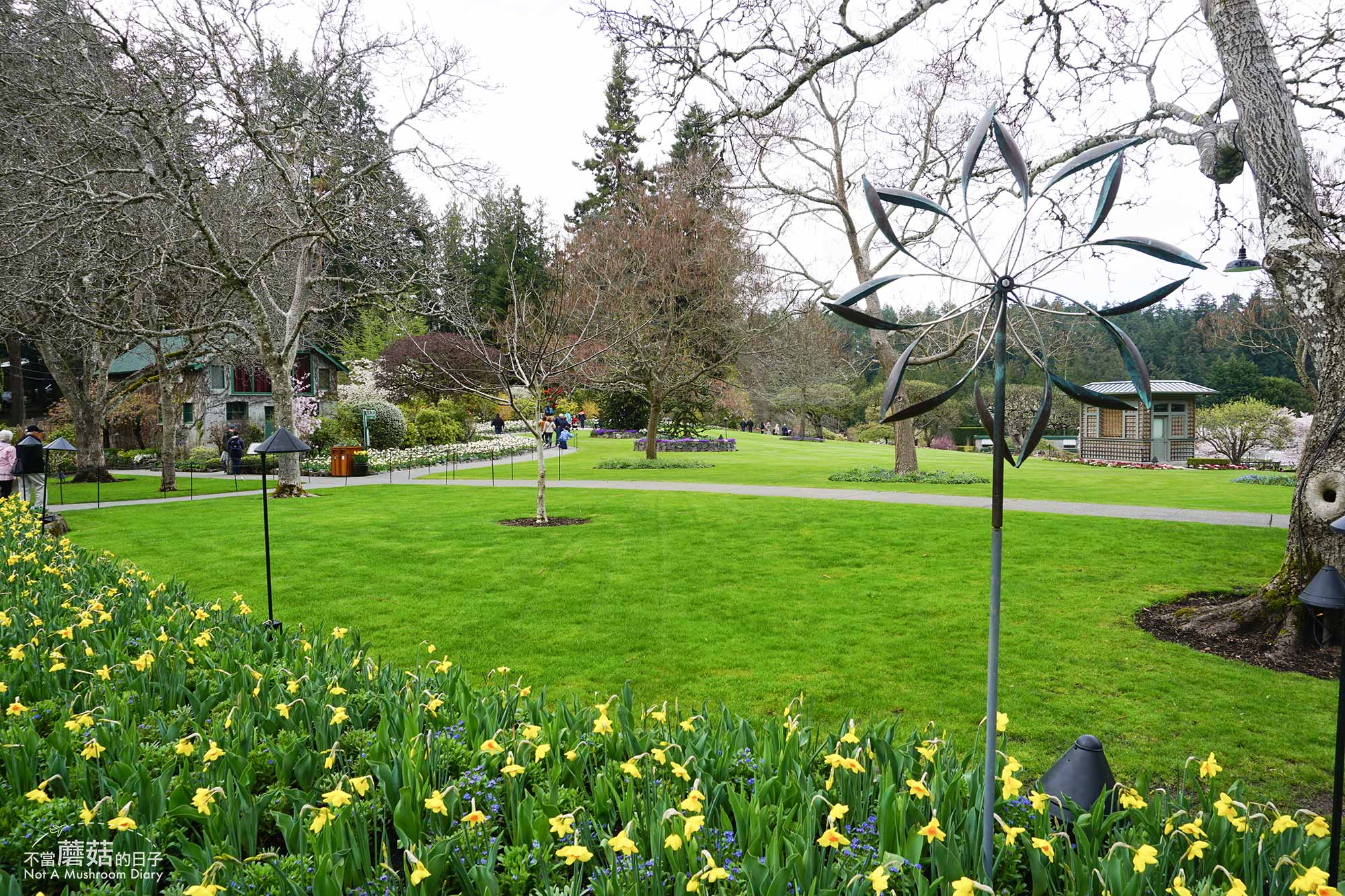 維多利亞 溫哥華島 加拿大 景點 布查花園 Butchart Garden