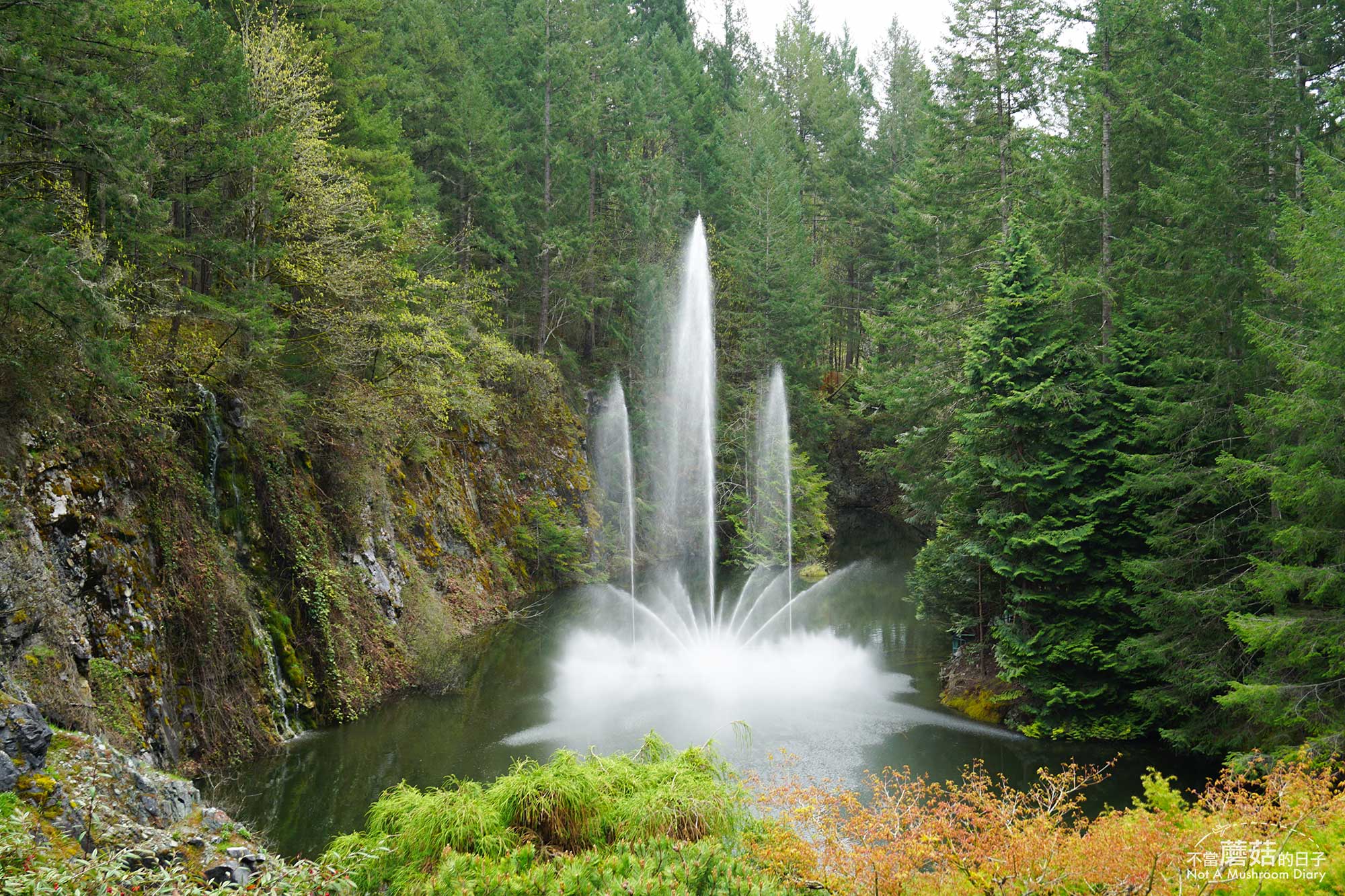 維多利亞 溫哥華島 加拿大 景點 布查花園 Butchart Garden