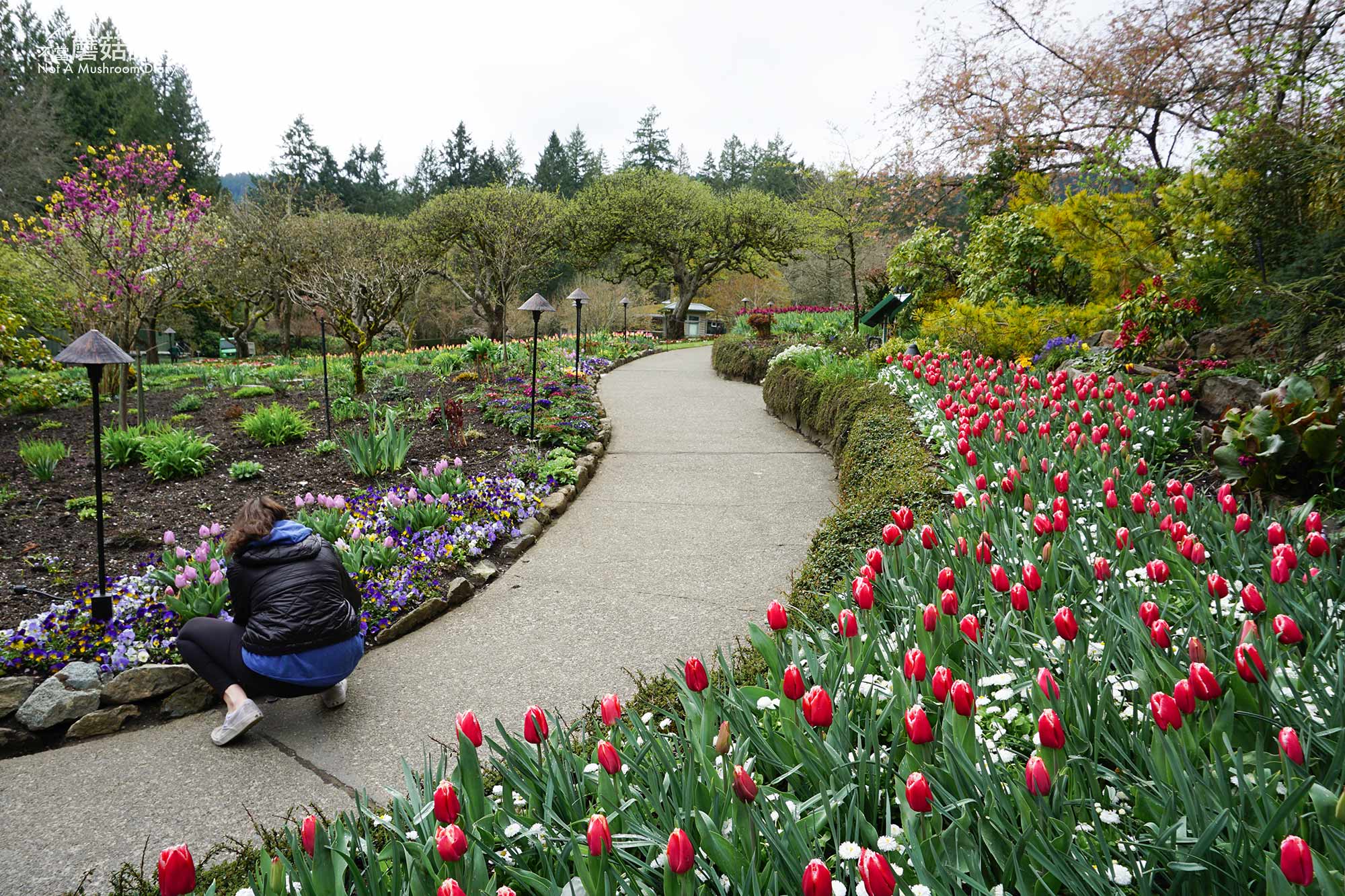 維多利亞 溫哥華島 加拿大 景點 布查花園 Butchart Garden