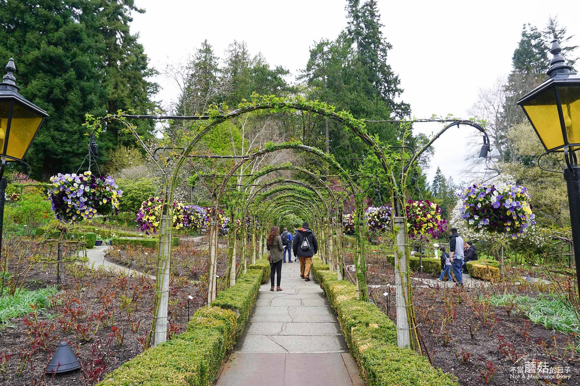 維多利亞 溫哥華島 加拿大 景點 布查花園 Butchart Garden