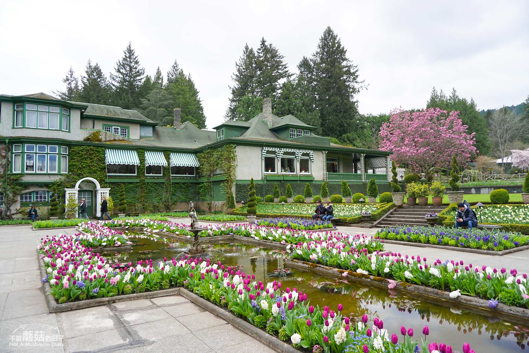 維多利亞 溫哥華島 加拿大 景點 布查花園 Butchart Garden